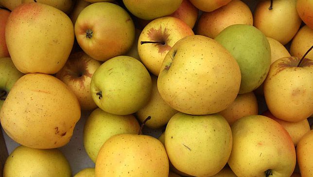 Golden Delicious Apples