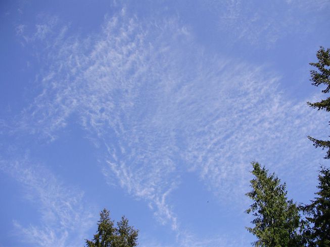 Cirrocumulus lacunosus clouds