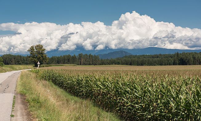 Cumulonimbus calvus clouds over a farm in Austria
