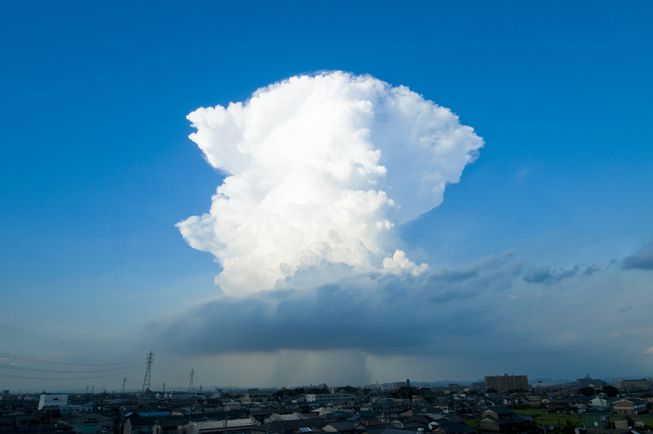 Cumulonimbus clouds have a flat top, somewhat anvil-shaped.