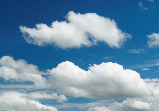 A collection of cumulus humilis against a blue sky.