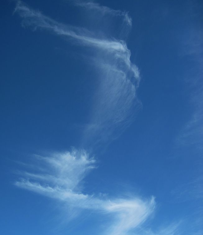 Cirrus intortus vertical clouds