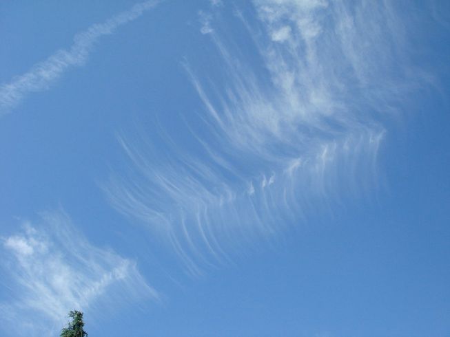 Cirrus vertebratus clouds