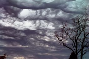 undulatus asperatus cloud