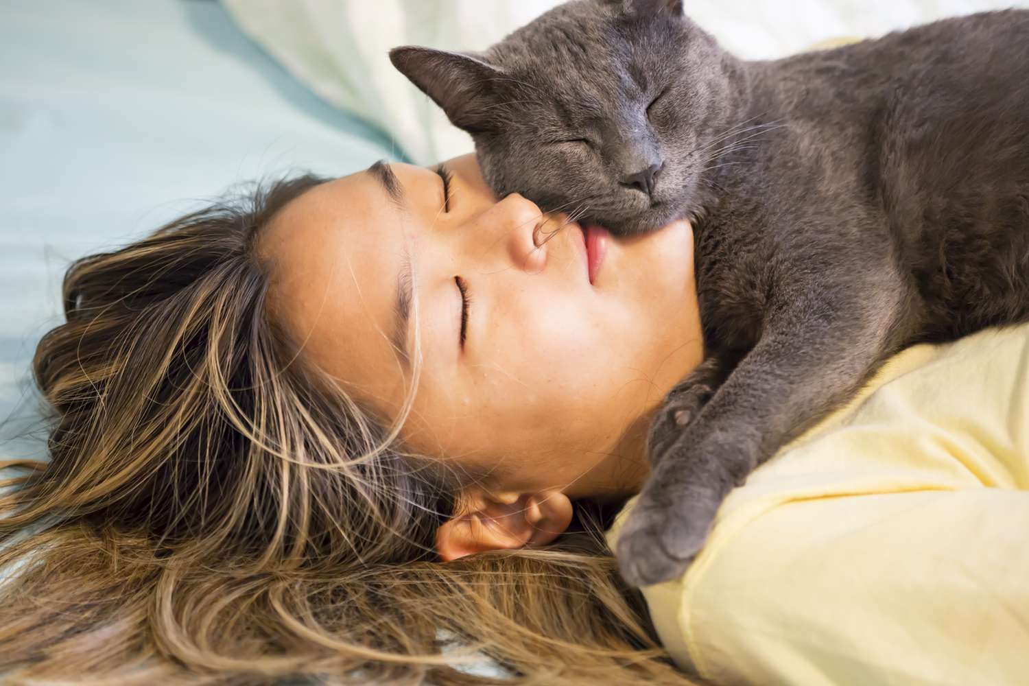 Asian teenager snuggles with her gray cat
