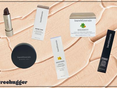 bareMinerals makeup and skin care products - lipstick, powder, primer, cleansing oil, night treatment, and mascara