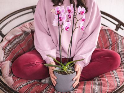 woman in purple sweats poses with purple orchid in large circle chair