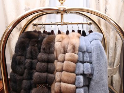 Chic expensive fur coats