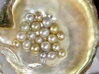 Close-Up of Gold Cultured Pearls in an Oyster Shell