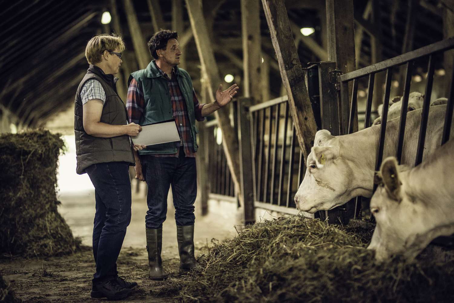 Farmer talking to inspector in a barn