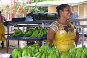 banana processing plant