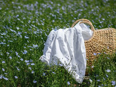 flax flowers and linen sheet