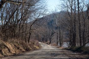 French Broad River and dirt road, Hot Springs, NC