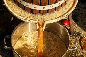 freshly pressed apple juice