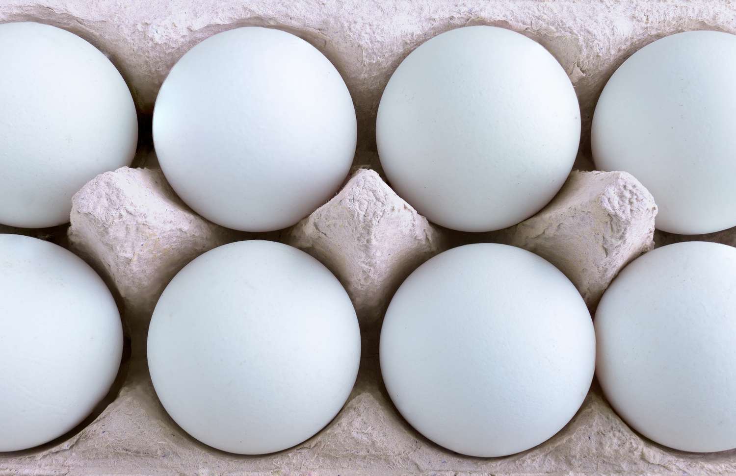 close up of white chicken eggs in carton