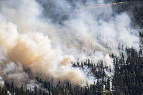 Forest fire creating large amounts of smoke