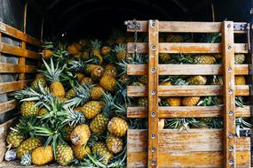 Pineapples piled up in a wood crate.