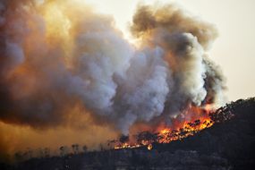 Out of control fire on Narrow Neck Plateau, Katoomba, Blue Mountains, Australia. Climate change is causing extreme weather, prolonged droughts and increasing bushfires
