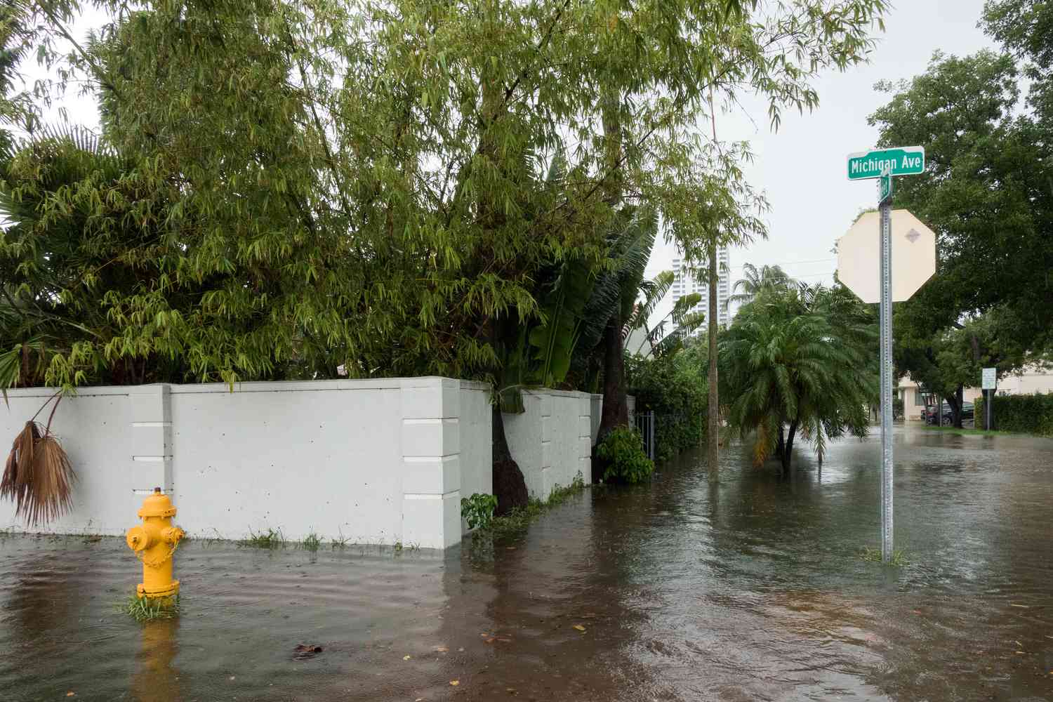 Street in Miami flooded after a rainstorm.
