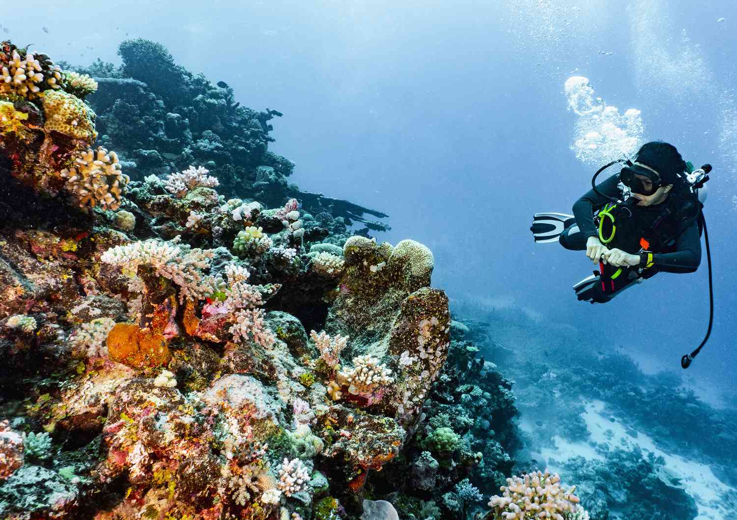 scuba diver exploring a variety of colorful coral on the Great Barrier Reef