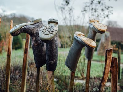 four pairs of muddy rain boots are hung upside down outside to dry
