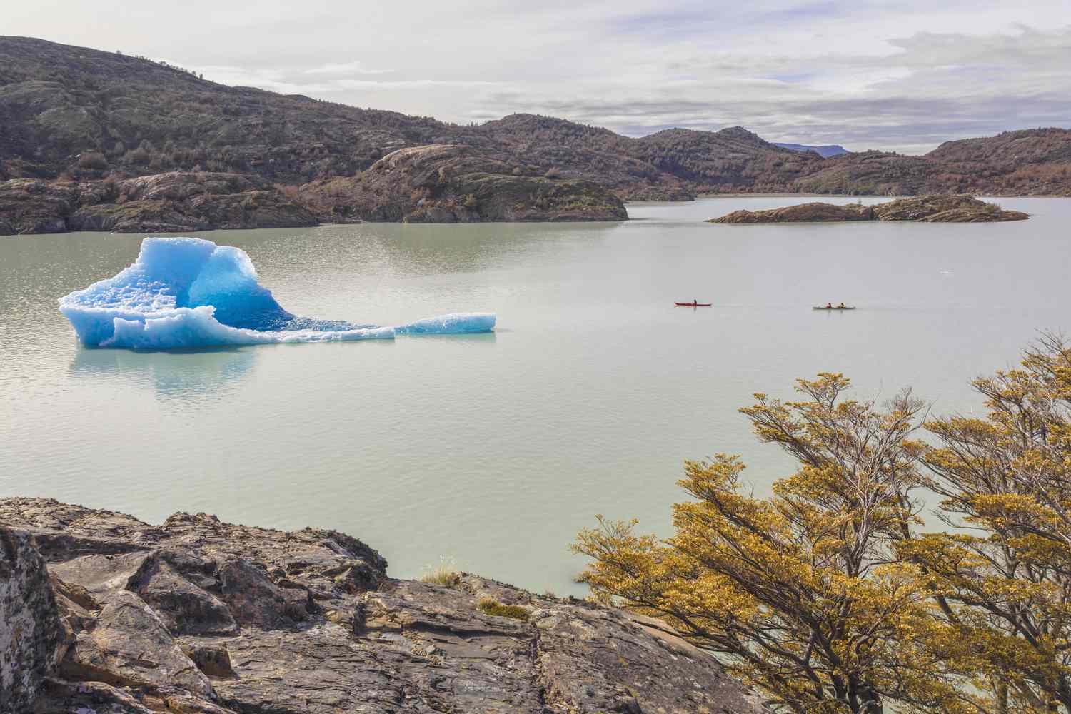 Sea kayakers near an iceberg, in Grey Lake, surrounded by rock hills and a single tree with yellow leaves in Torres del Paine National Park