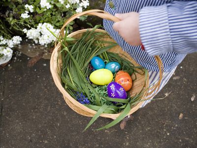 little boy goes on easter egg hunt with woven basket and fresh grass with eggs