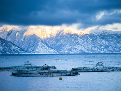 Salmon fish farm in Norway