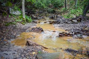 A stream flowing through the Appalachian Mountains in Pennsylvania that has been affected by coal mining pollution.