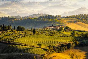 Scenic view of agricultural fields in Volterra, Tuscany