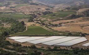 Cannabis greenhouses nestle between green crops in the rolling hills of Santa Barbara County, California