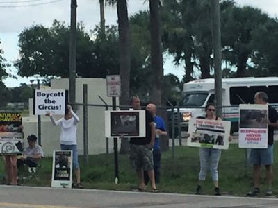 Animal Rights Protest