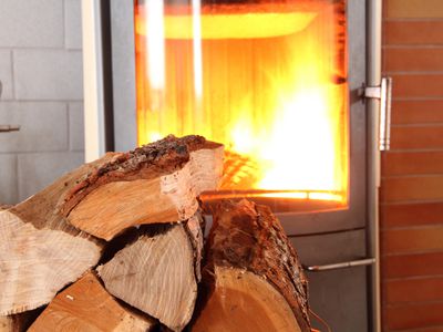 logs in front of a wood fire