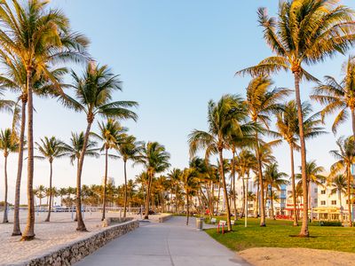 Lummus park in the morning, South Beach, Miami, USA