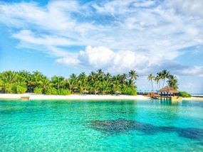 Clear, turquoise water laps against a palm tree-covered island in the Maldives