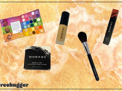 Morphe makeup products. Eyeshadow palette, setting powder, concealer, and brush.