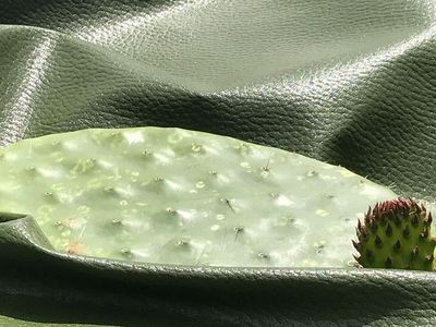 Desserto cactus leather