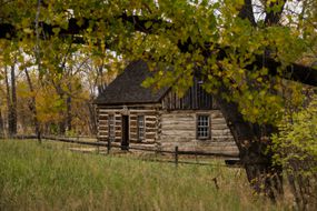 Theodore's Cabin at Roosevelt Theodore National Park