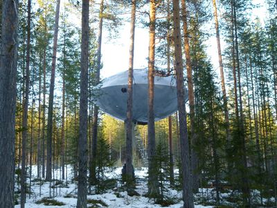 Metallic Treehotel UFO treehouse suspended in trees in forest