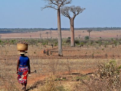 woman with basket on head in Madagascar