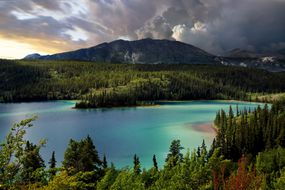 A turquoise lake surrounded by coniferous forests and a mountain on a cloudy day in Yoho National Park