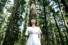 Young woman leaning against tree in forest
