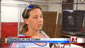 Tammie Hedges helped dogs without license to practice